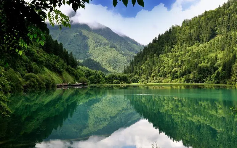电子科技